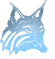 Click image for larger version

Name:	Lucidlynx.png
Views:	46
Size:	55.4 KB
ID:	639133