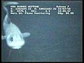 Click image for larger version

Name:	FISH_LOOKING_AT_ROV-2010-07-14-10h05m18s204.jpg
Views:	57
Size:	8.7 KB
ID:	639386