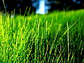 Click image for larger version

Name:	27783-r-1920-1440-green-grass-contrast.jpg
Views:	36
Size:	122.3 KB
ID:	647319